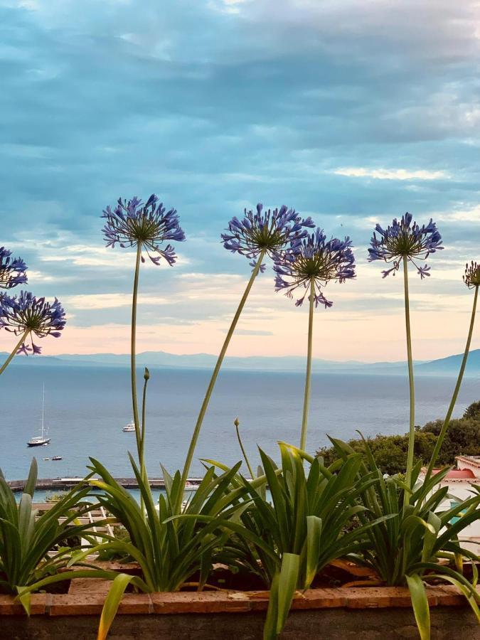 B&B L'Agapanto Capri Exterior foto
